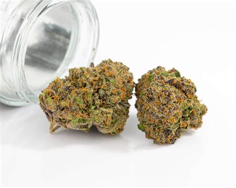 The Economic Impact of Mavuc Nugs Wholesale on the Cannabis Industry